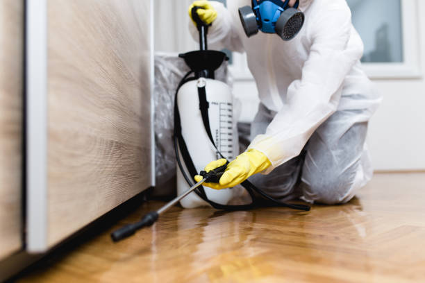 Best Mosquito Control Services  in Pikesville, MD