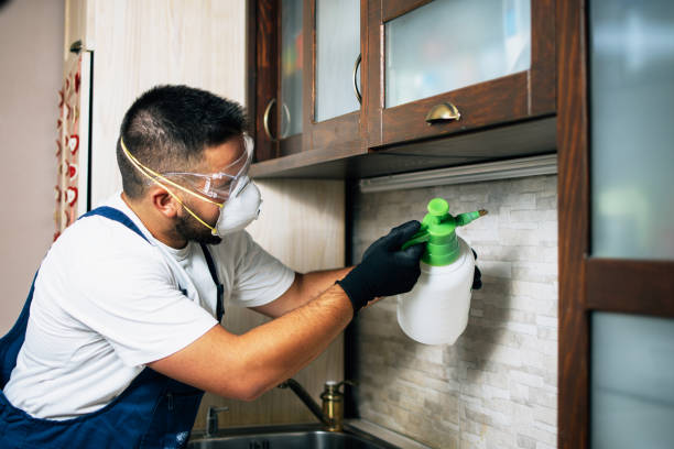 Best Best Pest Control Companies  in Pikesville, MD