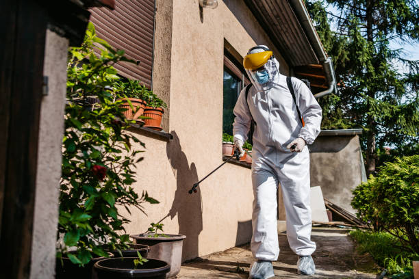 Best Pest Control Near Me in Pikesville, MD