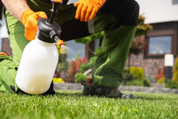 Best Pest Prevention Services  in Pikesville, MD