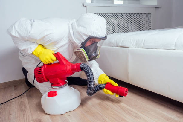 Best Affordable Pest Control Services  in Pikesville, MD