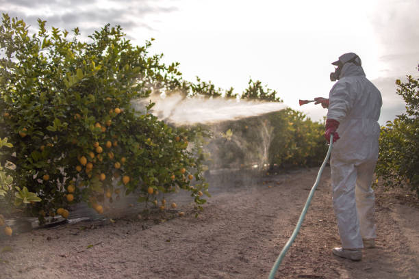 Best Best Pest Control Companies  in Pikesville, MD