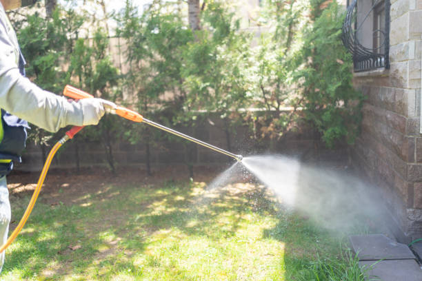 Best Termite Control Services  in Pikesville, MD