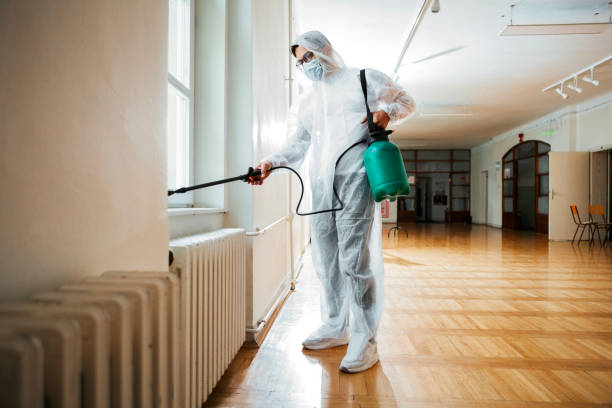 Best Affordable Pest Control Services  in Pikesville, MD