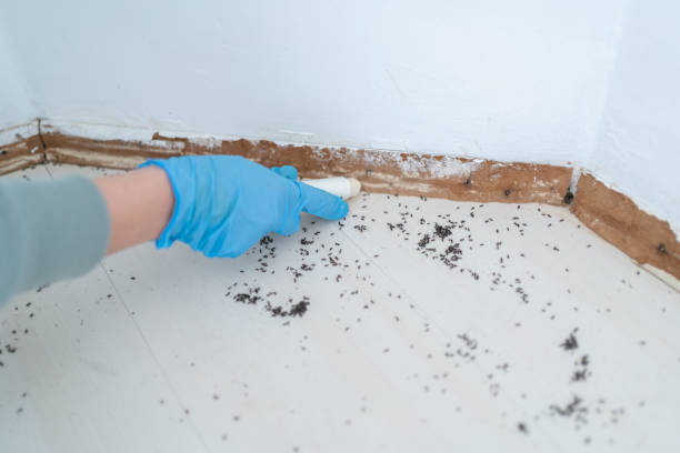 Best Pest Control for Businesses  in Pikesville, MD