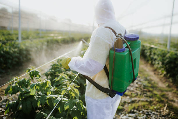 Best Residential Pest Control  in Pikesville, MD